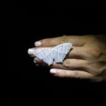 Cape Tribulation: Daintree Rainforest Night Walk Tour - Why This Tour Is Worth Considering