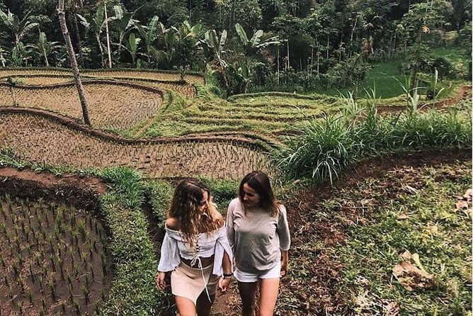 Car Hire in Lombok (Include Driver, Car, & Fuel) - Why This Tour Is Worth Considering