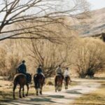 Cardrona Valley: Horse Trekking Experience - Detailed Breakdown of the Experience