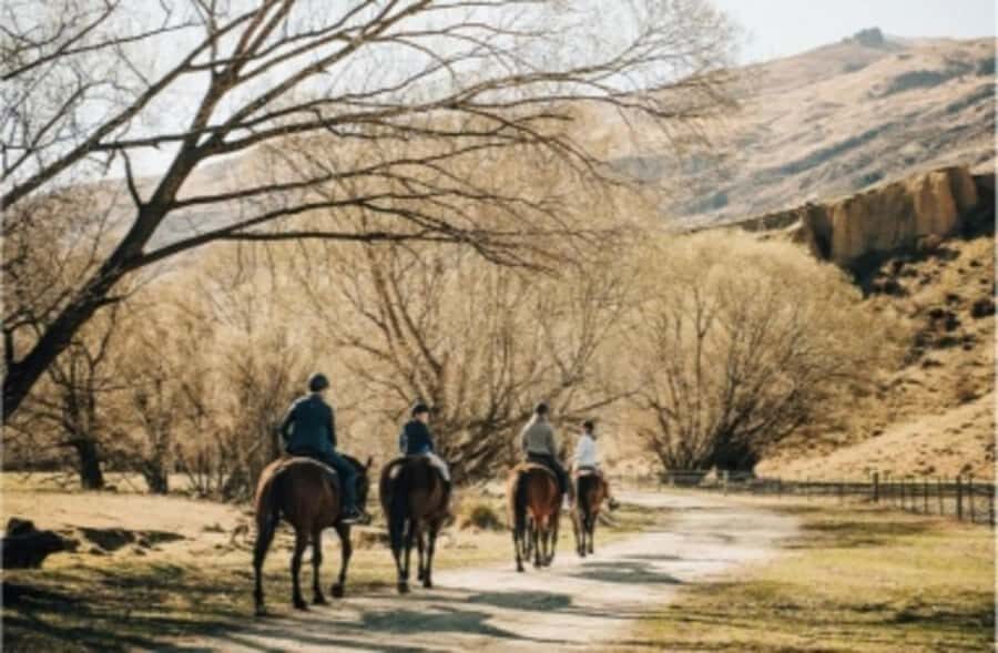 Cardrona Valley: Horse Trekking Experience - Detailed Breakdown of the Experience