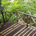 Caribbean Odyssey Tour - An In-Depth Look at the Caribbean Odyssey Tour