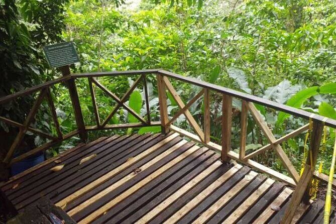 Caribbean Odyssey Tour - An In-Depth Look at the Caribbean Odyssey Tour