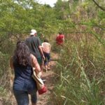 Caribbean Stonehenge - Hike on Green Castle Hill, Antigua. - An In-Depth Look at the Caribbean Stonehenge Tour