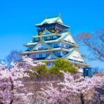 Castle Views and Merchant Tales: Osaka History Walk - What to Expect and Practical Details