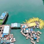 Cat Ba/Ha Noi: Halfday Viet Hai cycling, Lan Ha kayaking - What to Expect: Practical Details