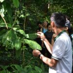Cat Ba Island: National Park Cycling Tour with Picnic Lunch - The Practical Details