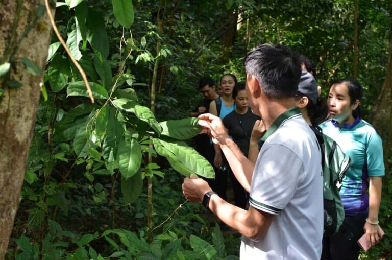 Cat Ba Island: National Park Cycling Tour with Picnic Lunch - The Practical Details