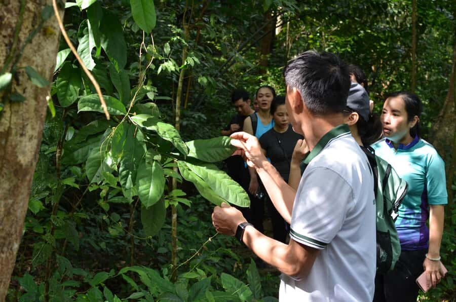 Cat Ba Island: National Park Cycling Tour with Picnic Lunch - The Practical Details