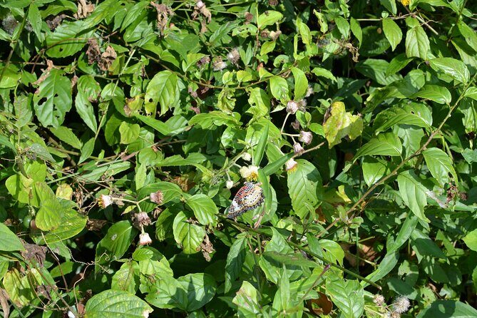 Cat Ba National Park Cycling Retreat Reconnect with Nature - Practical Details to Keep in Mind