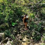 Cat Ba National Park Full Day Trekking, Biking from Cat Ba Island - Practical Details That Matter