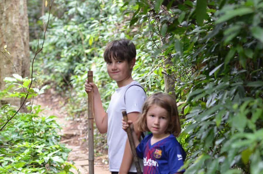 Cat Ba National Park: Secret Jungle Trek & Hidden Caves - Exploring Hospital Cave: Vietnam’s Wartime Secret