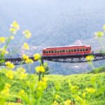 Cat Cat Village, Moana, Fansipan Cable Car, Alpine Coaster - Sapa - What’s Included and What You Should Budget For