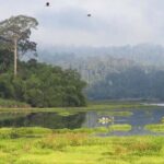 Cat Tien National Park Day Trip with Trekking and Cycling - A Deep Dive into the Experience