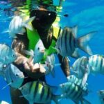 Catalina Island: Day Trip - Best Snorkeling! - Practical Details: What You Should Know