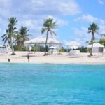 Catalina Island Full Day Snorkeling Tour - What Travelers Are Saying