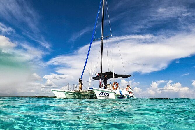 Catalina Island Tour with Lunch and Transportation Included - What Travelers Say