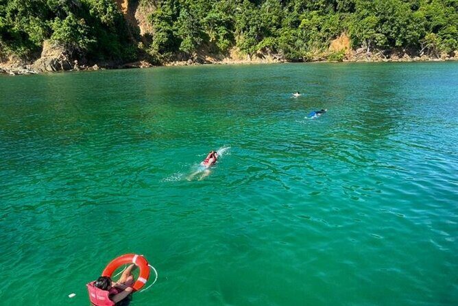 Catamaran Snorkeling in Kota Kinabalu - The Sum Up