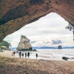 Cathedral Cove Day Trip from Auckland - Who Will Love This Tour?