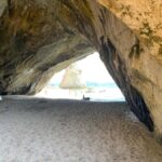 Cathedral Cove & Hot Water Beach Private Tour From Auckland - A Deep Dive into the Tour Experience
