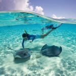 Cayman 3 in 1 Adventure Reef Snorkeling, Starfish and Stingrays - Insights from Past Travelers