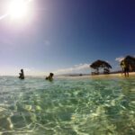 Cayo Arena: Paradise Island Tour Sosua o Cabarete - Exploring Monte Cristis Mangroves