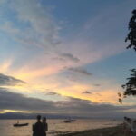 Cebu: 2-Day Private Tour Moalboal and Oslob - What Makes This Tour Stand Out?