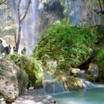 Cebu: 2 Days 1 Night Tour Package (Oslob) - Transportation, Timing, and Group Dynamics