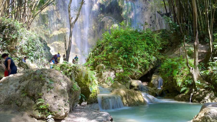 Cebu: 2 Days 1 Night Tour Package (Oslob) - Transportation, Timing, and Group Dynamics