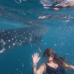 Cebu: Adventure Escape 4 Days & 3 Nights All-In Experience - Final Thoughts