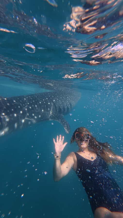 Cebu: Adventure Escape 4 Days & 3 Nights All-In Experience - Final Thoughts