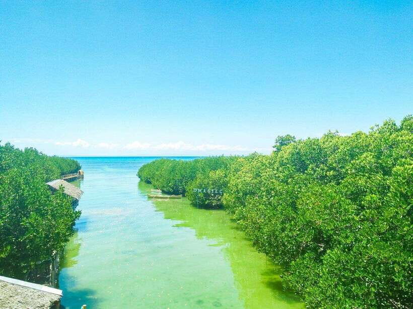 Cebu Bantayan Island Day Tour (Private Tour) - What You Can Expect From the Tour