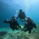 Cebu: Beach Scuba Diving Experience - An Overview of the Experience