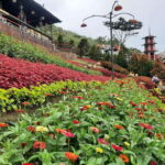 Cebu City: Cultural Heritage Tour & 10,000 Roses Visit - Practical Tips for Making the Most of Your Tour