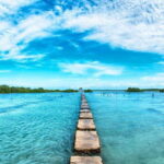 Cebu Mactan Island Hopping + Picnic Lunch (Private Tour) - The Actual Experience: What You’ll Love