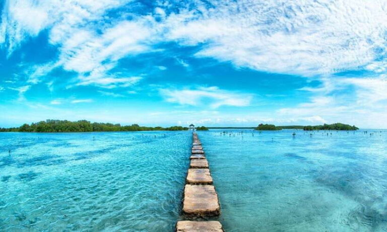 Cebu Mactan Island Hopping + Picnic Lunch (Private Tour) - The Actual Experience: What You’ll Love