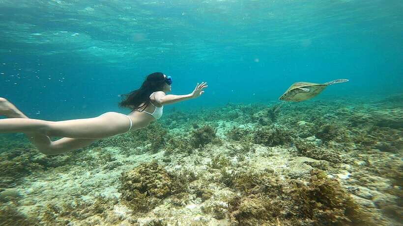 Cebu Moalboal Adventure Combo: Snorkel & Canyoneering +Lunch - The Itinerary in Detail