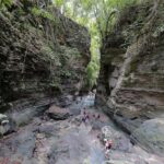 Cebu: Moalboal Sardines Run & Kawasan Falls Canyoneering - A Detailed Look at the Tour