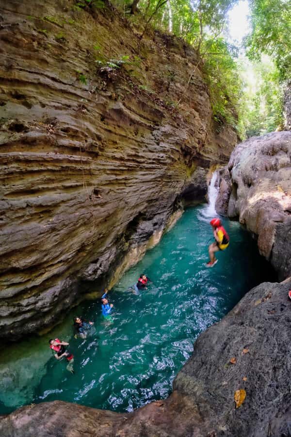 Cebu: Moalboal Sardines Run & Kawasan Falls Canyoneering - Who Will Love This Tour?