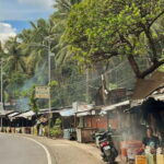 Cebu: Northern Beaches and Local Delicacies Tour - Tasting the Flavors of Cebu