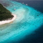 Cebu: Oslob Whale Shark Swim and Sumilon Island Day Tour - Transportation and Comfort