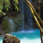 Cebu: Oslob Whale Shark, Tumalog Falls, and Sumilon Sandbar - Practical Details and Tips