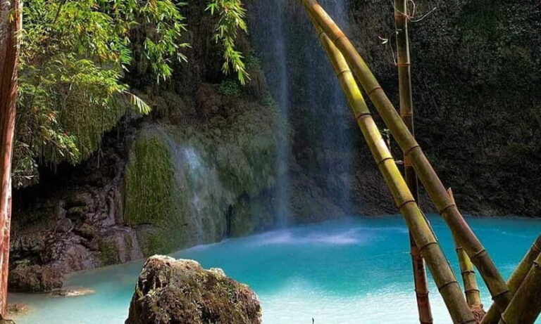 Cebu: Oslob Whale Shark, Tumalog Falls, and Sumilon Sandbar - Practical Details and Tips