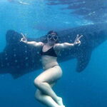 Cebu: Oslob Whale Shark Watching Tour with Hotel Transfer - An In-Depth Look at the Tour Experience