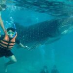Cebu: Oslob Whale Sharks, Tumalog Falls and Sardines Snorkeling - What Makes This Tour Stand Out?