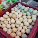 Cebu: Street Food Tour with Local Guide - Final Thoughts