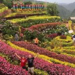 Cebu: Trans-central Highway Mountain Tour - Transportation & Timing: What to Expect