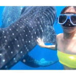 Cebu: Whale Shark Swim and Kawasan Canyoneering Group Tour - Practical Details & Tips