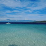 Cebu: Whale Shark Watching, Tumalog Falls & Sumilon Island - What Makes This Tour Stand Out?