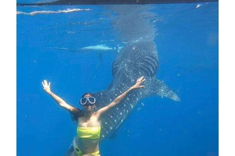 Cebu:Whale Shark, Waterfall, and Sardine Run Group Tour+Meal - Who is this tour best suited for?