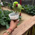 Celeb Island Adventure Tour - Practical Tips for Your Booking